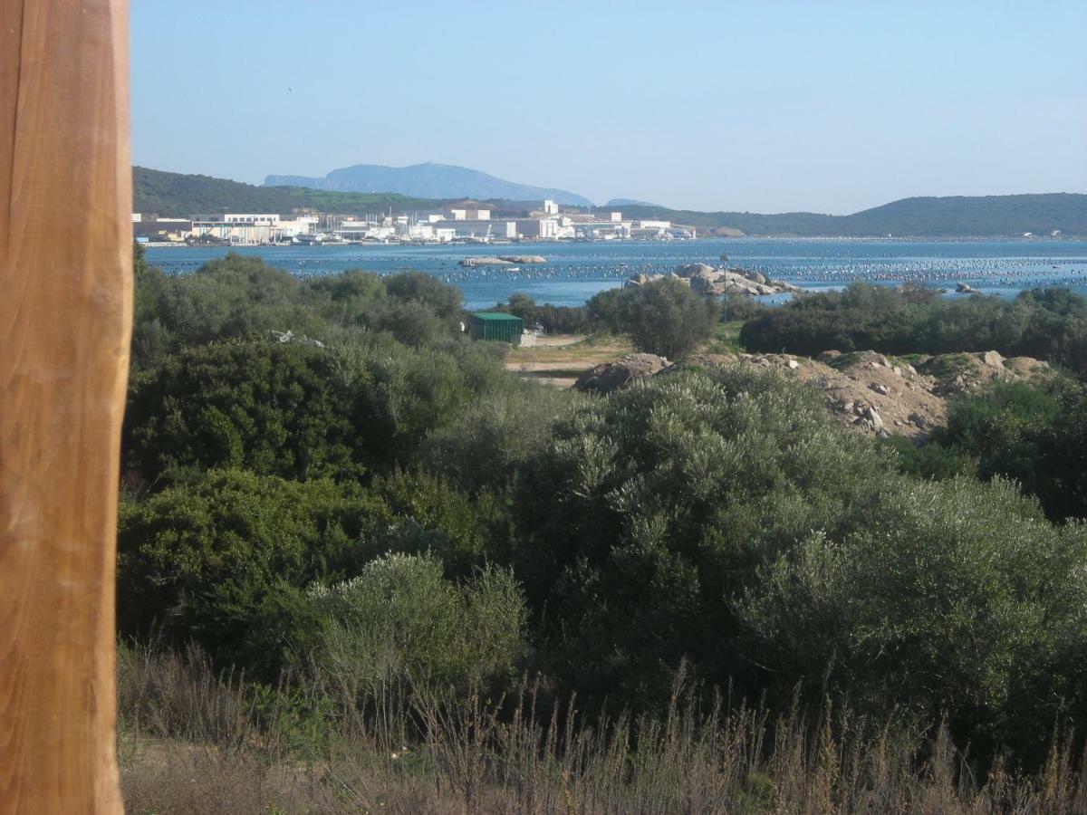 Olbia Tempio Apartment Bagian luar foto